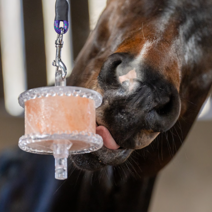 PEDRA SAL HIMALAYA 650g