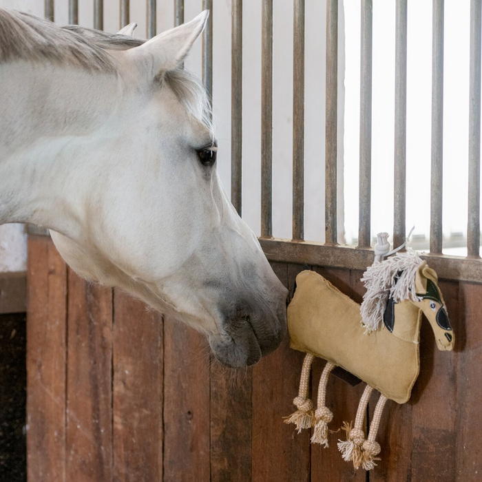 BRINQUEDO CENOURA DE COURO