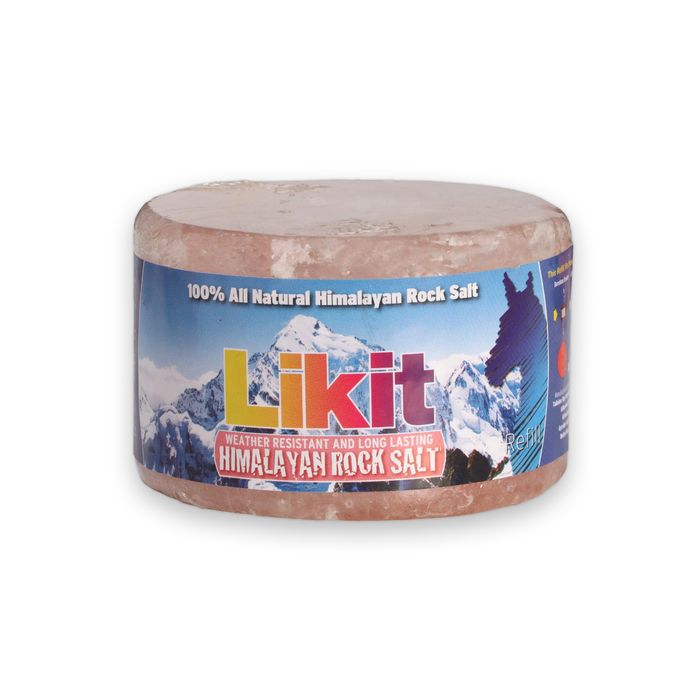 PEDRA SAL HIMALAYA 650g